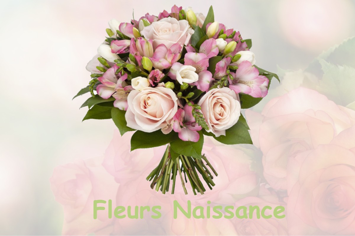 fleurs naissance ORTHEVIELLE