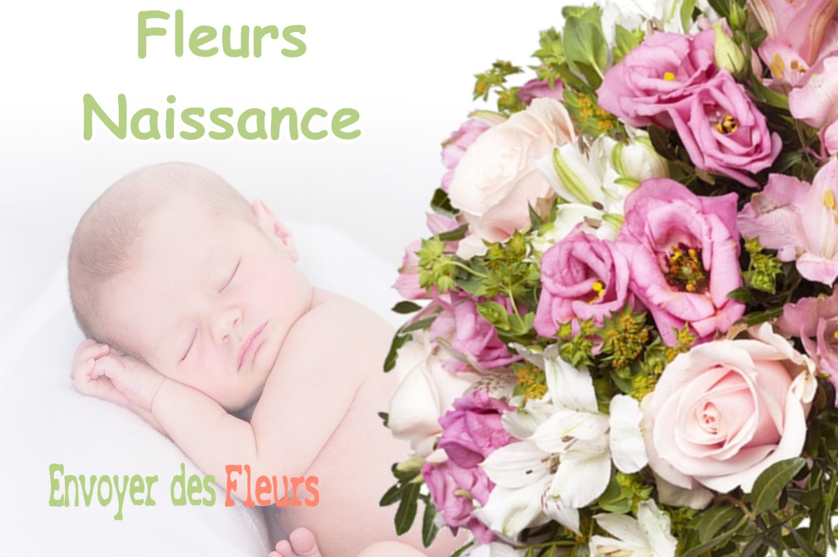 lIVRAISON FLEURS NAISSANCE à ORTHEVIELLE